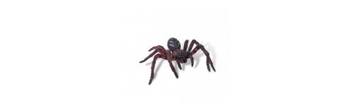 Spiders