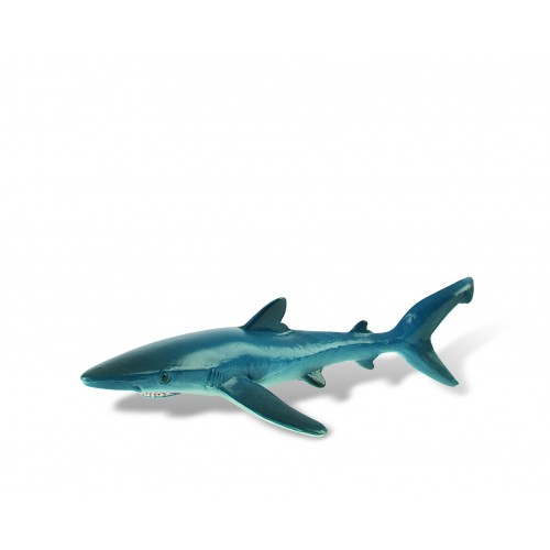 Blue Shark