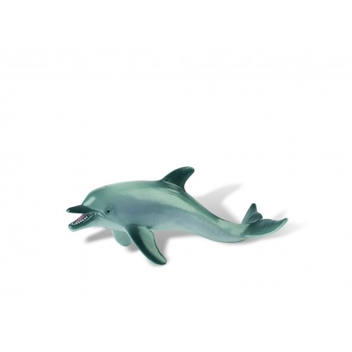 Dolphin