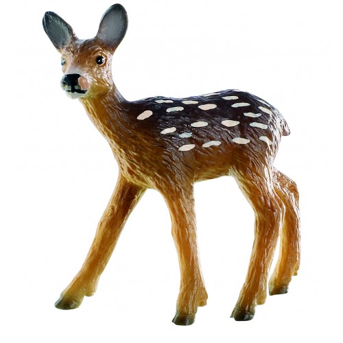 Fawn