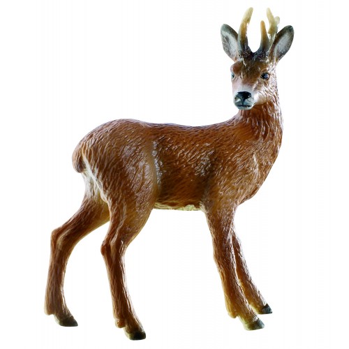 Roebuck