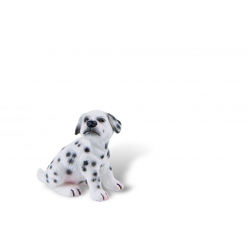 Dalmatian Puppy Sugar