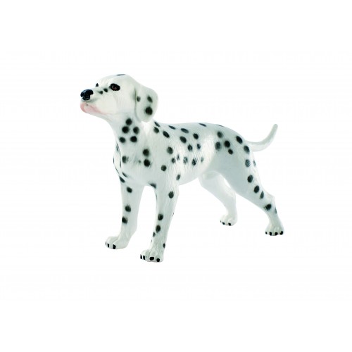 Dalmatian Bingo