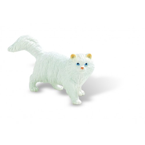 Persian Cat Princess