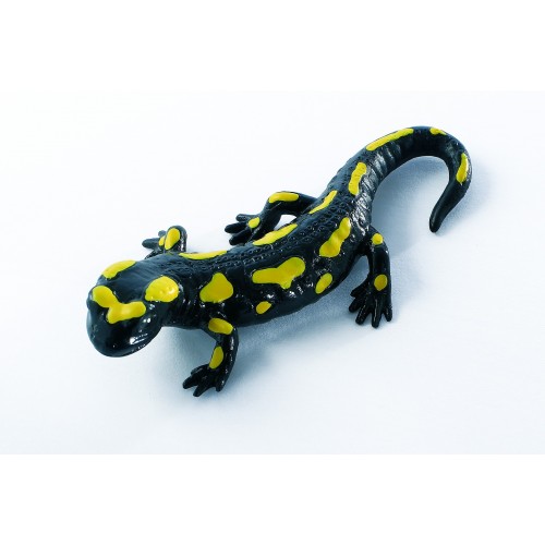 Fire Salamander