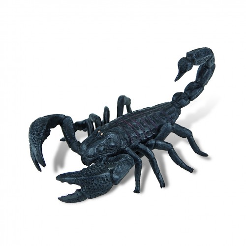 Scorpion