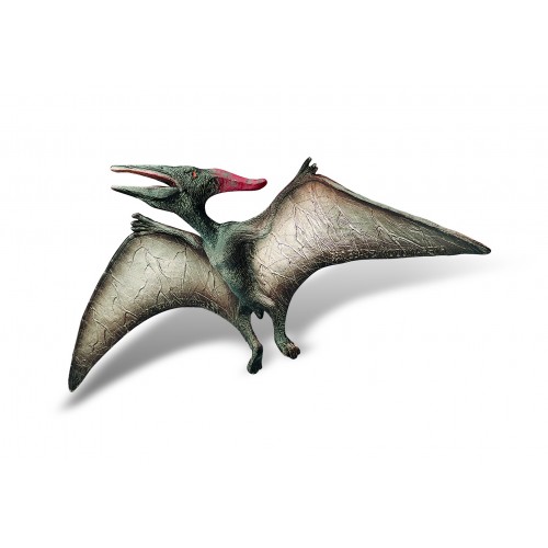 Pteranodon