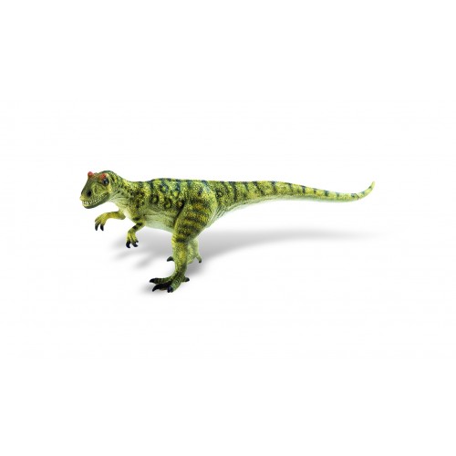 Allosaurus