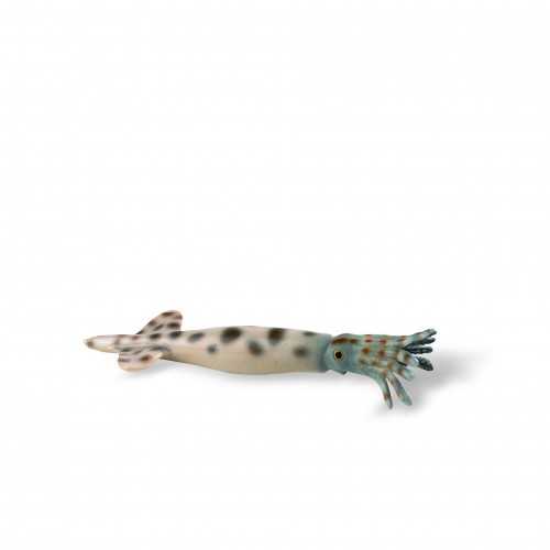 Belemnite