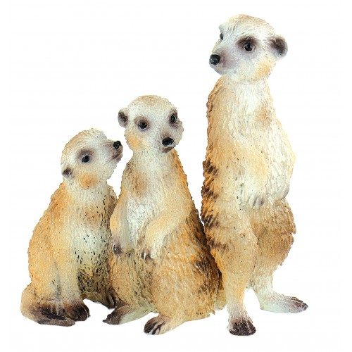 Meerkat Group