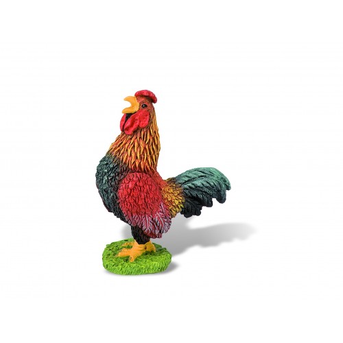 Rooster