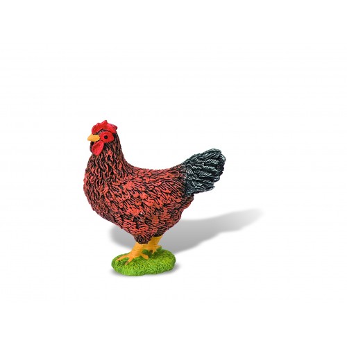 Hen