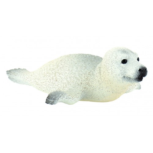 Grey Seal Pup