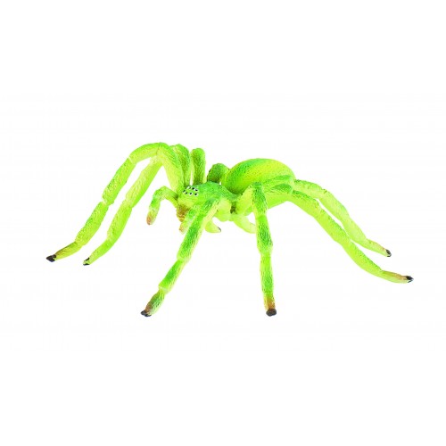 Green Huntsman Spider