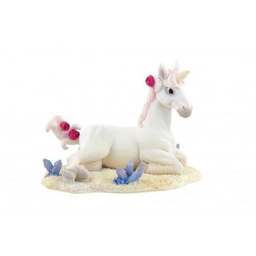 Unicorn Foal