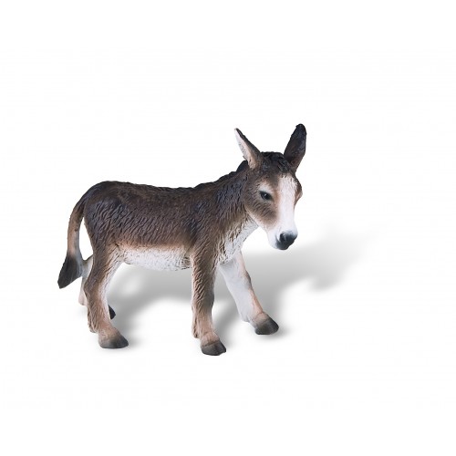 Donkey