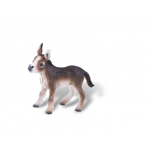 Donkey Foal