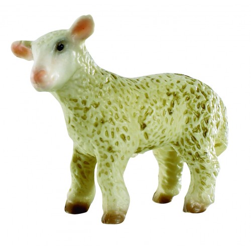 Lamb