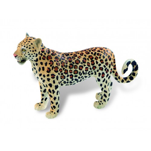 Leopard Female